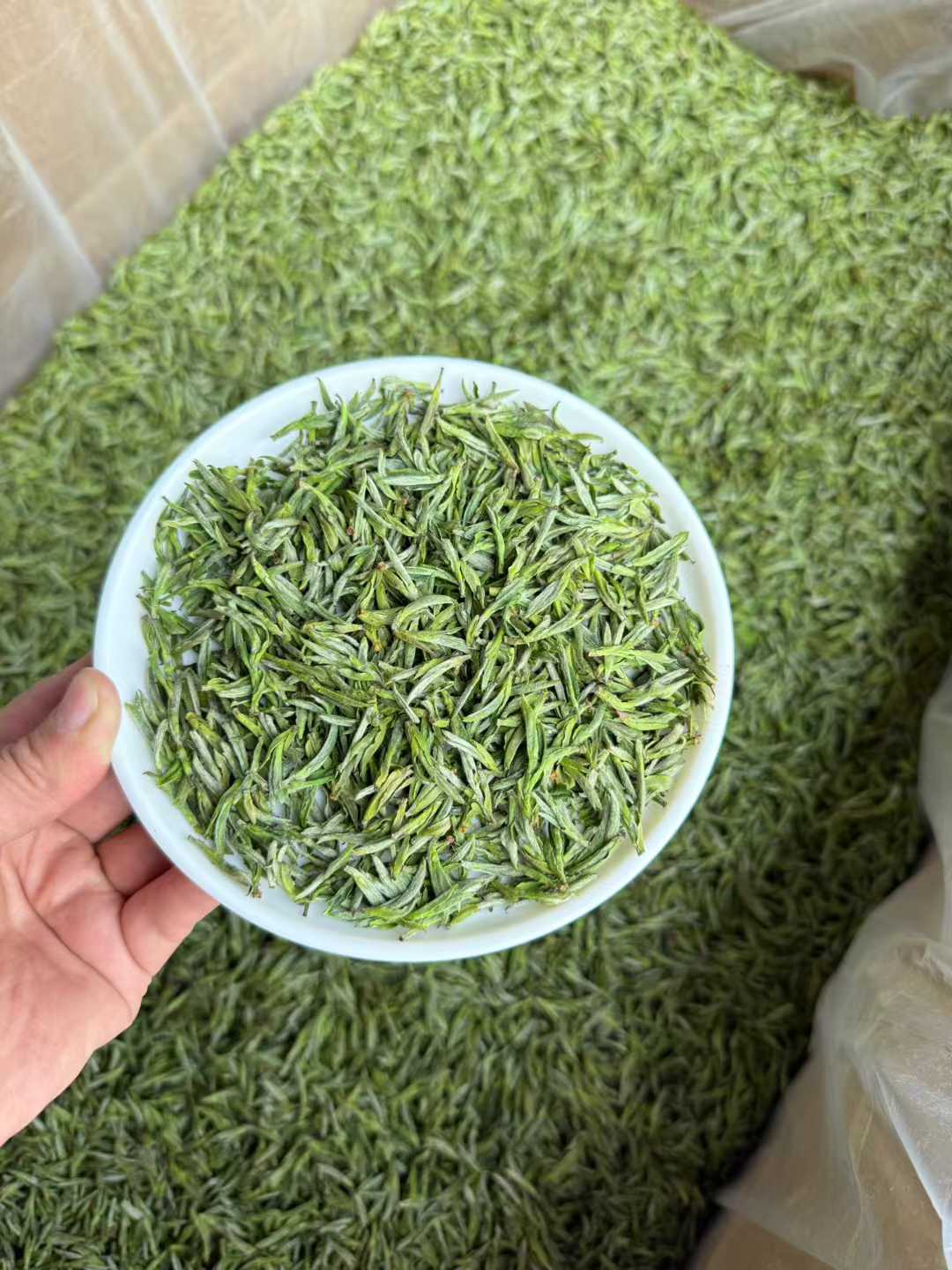 Green tea leaves in a white bowl held over a large pile of green tea.2026 First Harvest Huangshan Maofeng – Early Spring Imperial Green Tea