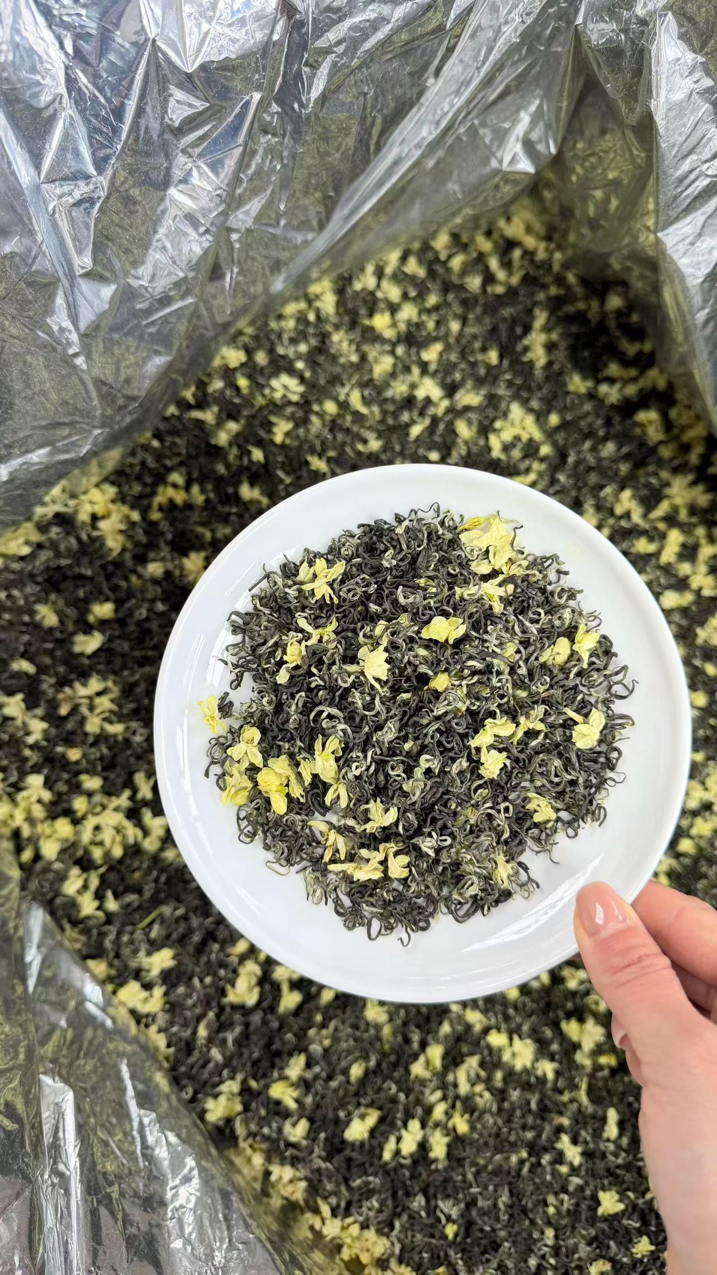 Sichuan Jasmine Piao Xue 2026 Spring Scented Green Tea