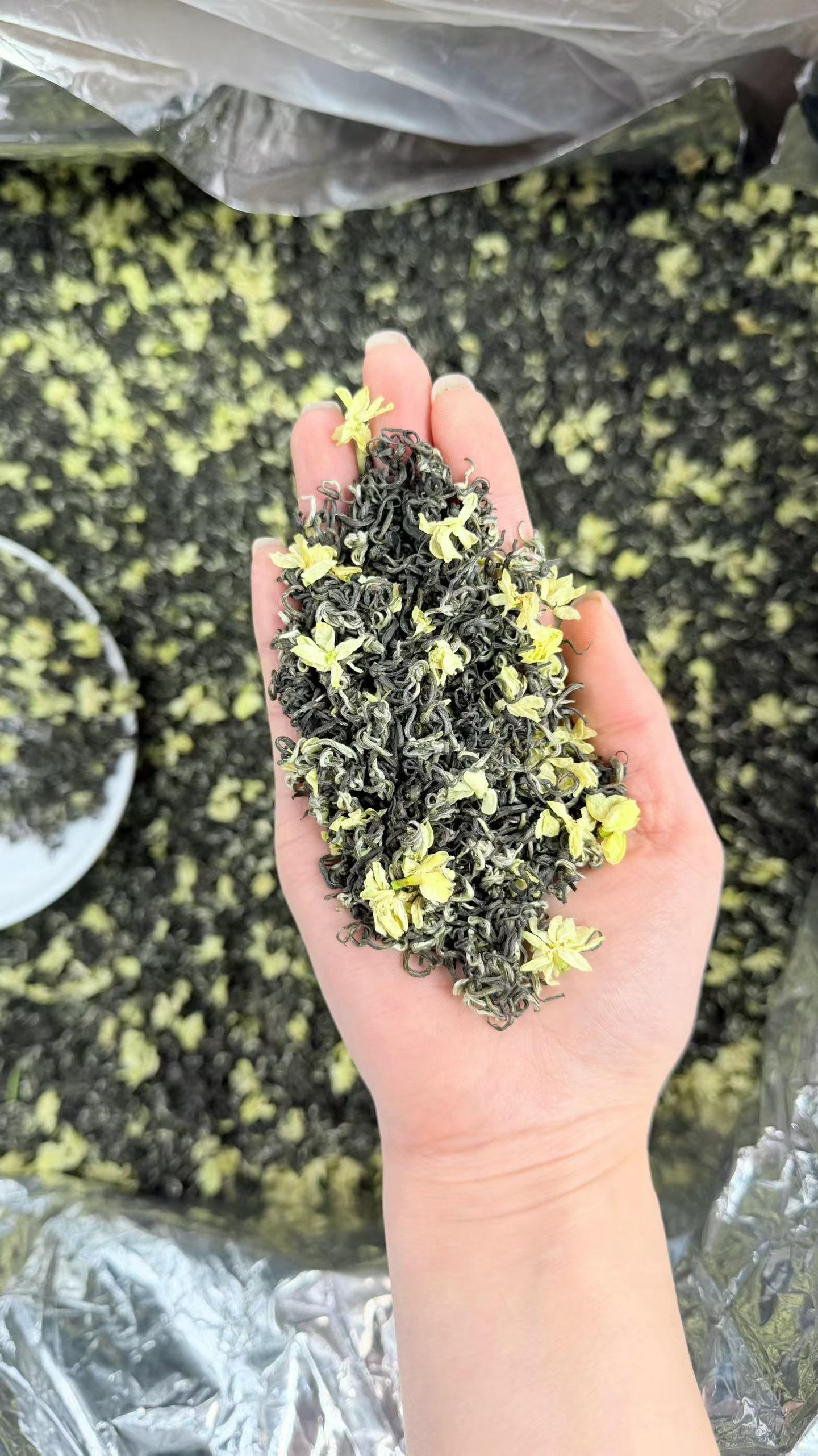 Sichuan Jasmine Piao Xue 2026 Spring Scented Green Tea