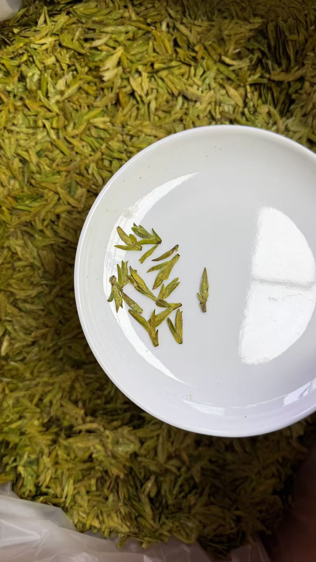 White dish with green tea leaves on a bed of green tea leaves Selected from tender pre-Qingming buds, delivering a fresh vegetal sweetness layered with a signature chestnut aroma.