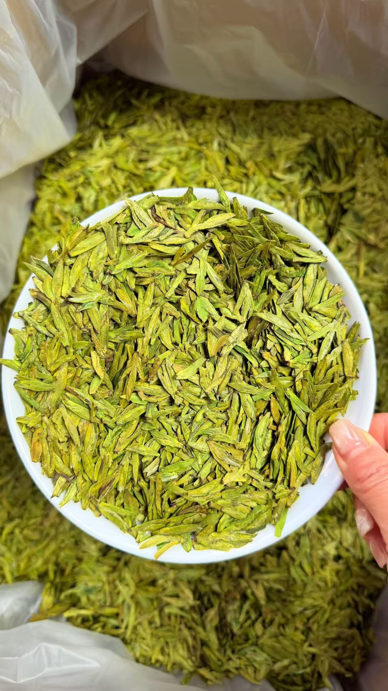 Green leafy substance in a white bowl held by a hand, with more of the substance around.