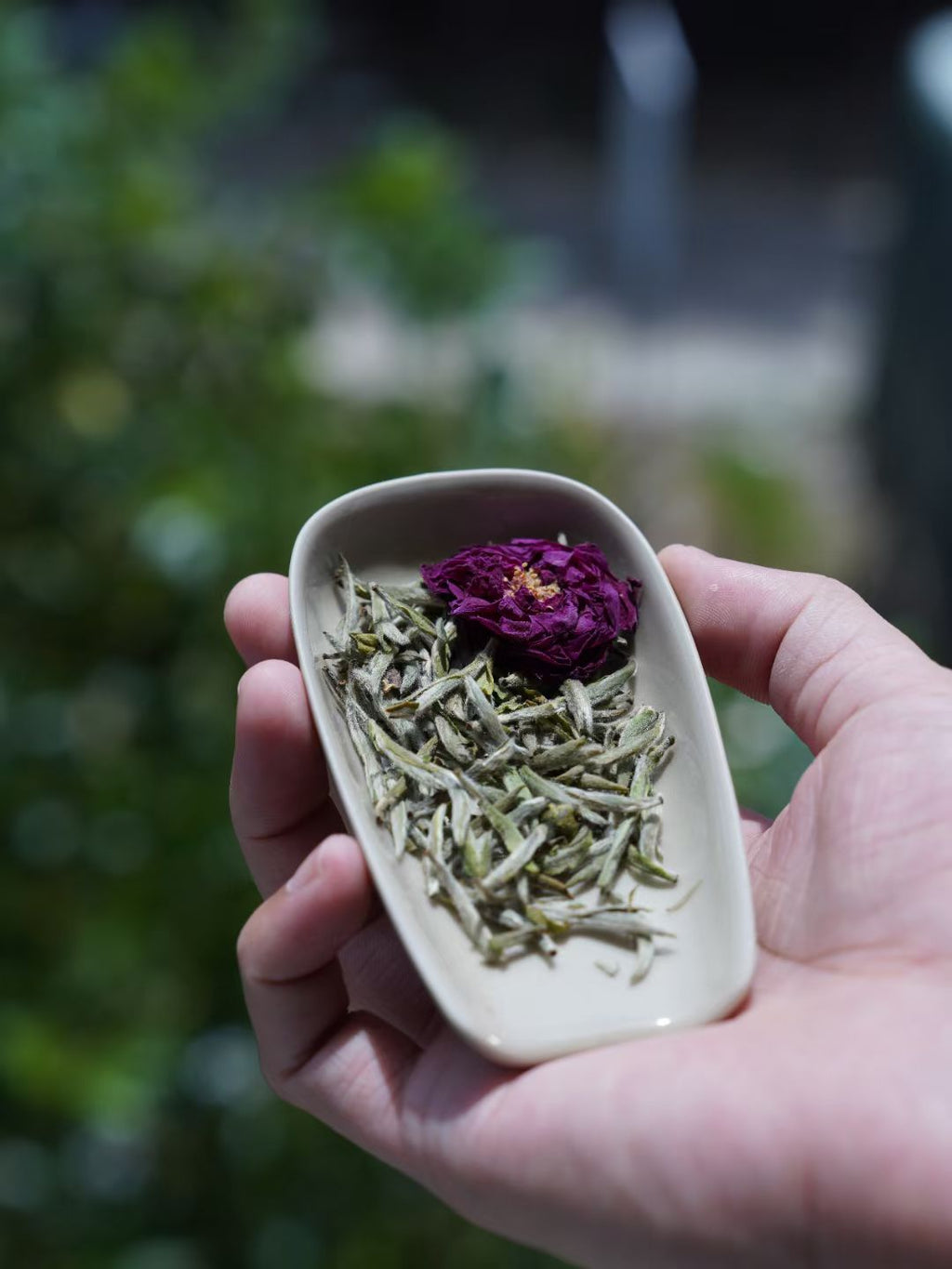 Hand holding a small dish with dried herbs and a purple flower against a blurred natural background