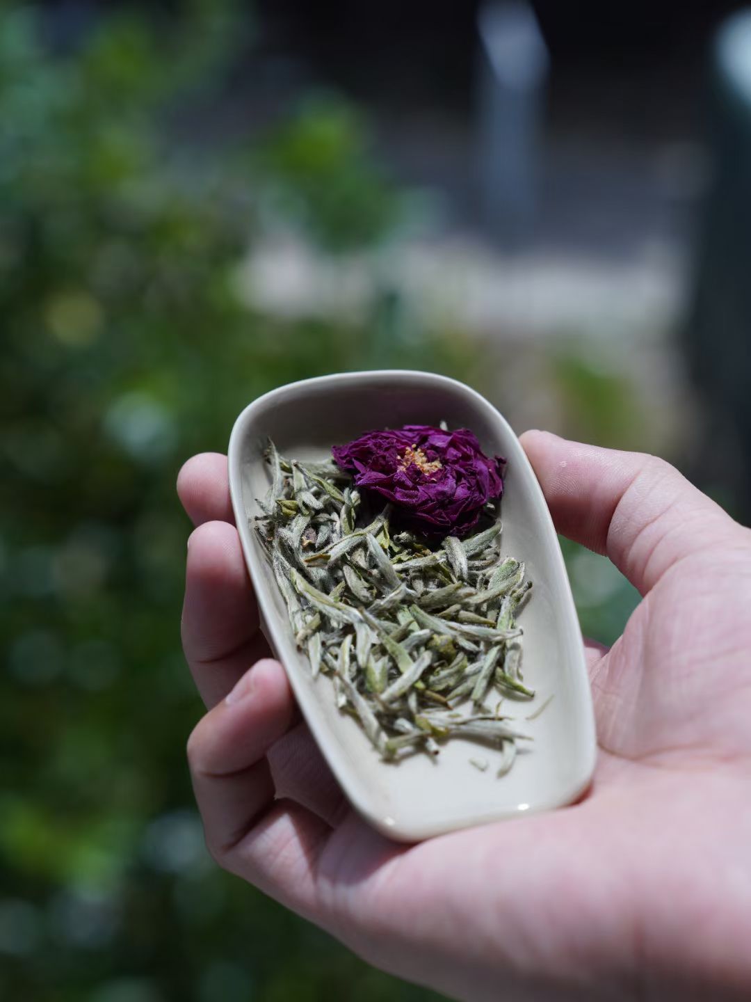 Hand holding a small dish with dried herbs and a purple flower against a blurred natural background